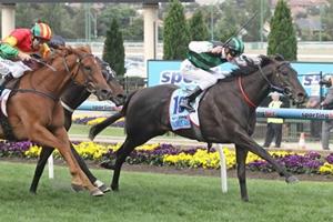 SCHOFIELD RECALLS COX PLATE GLORY